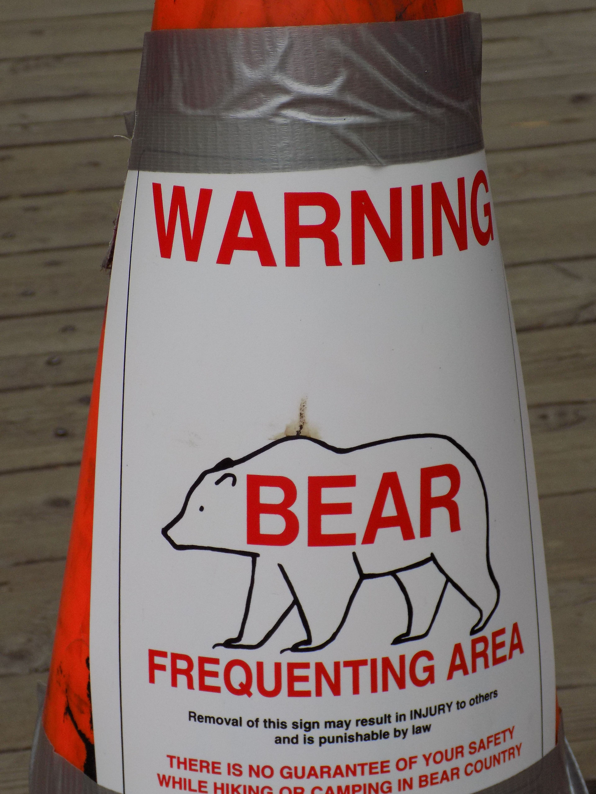 bear warning