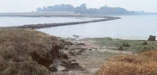 Site of the Historic Battle of Maldon