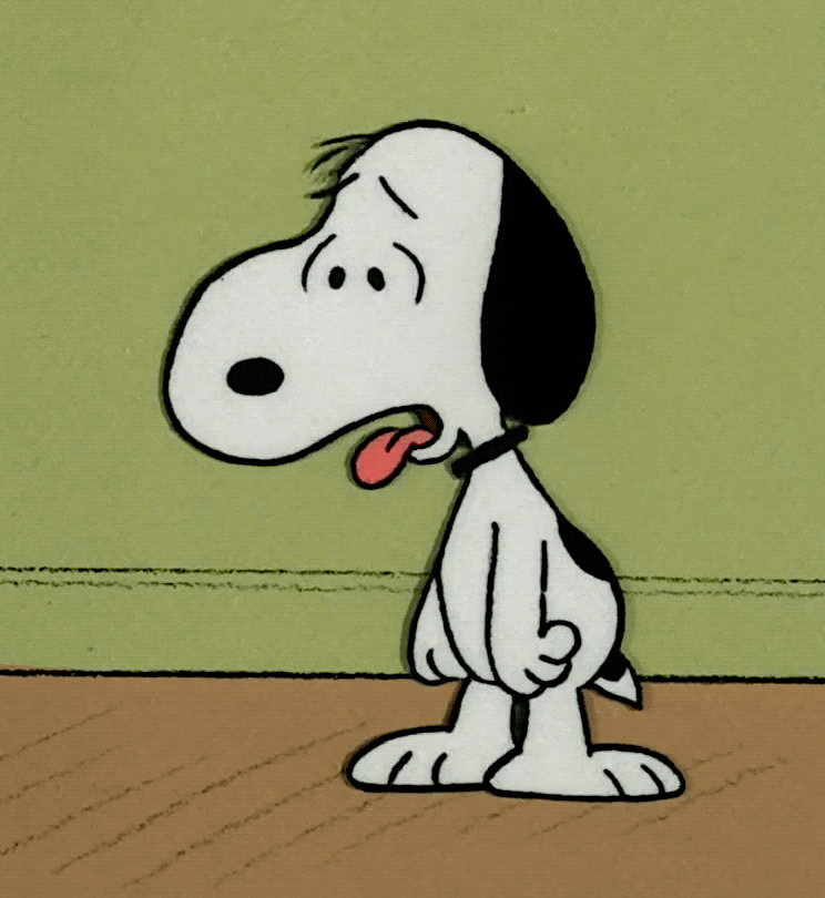 tumblr_046f42d510f761626d669c47f8b256c6_92498ef1_1280 (1).gif