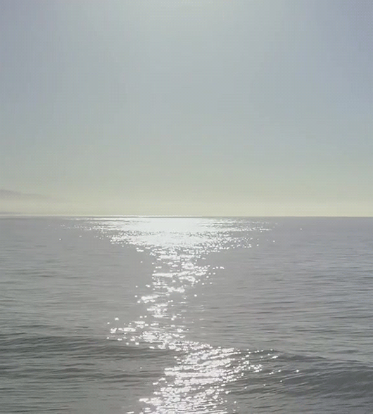 tumblr_ac0e9fb5b83cf85b5ccbe606b24f6fe2_07cb98cb_540.gif