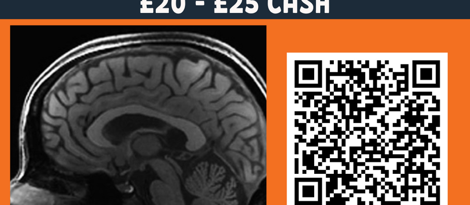 fMRI study on learning and metacognition