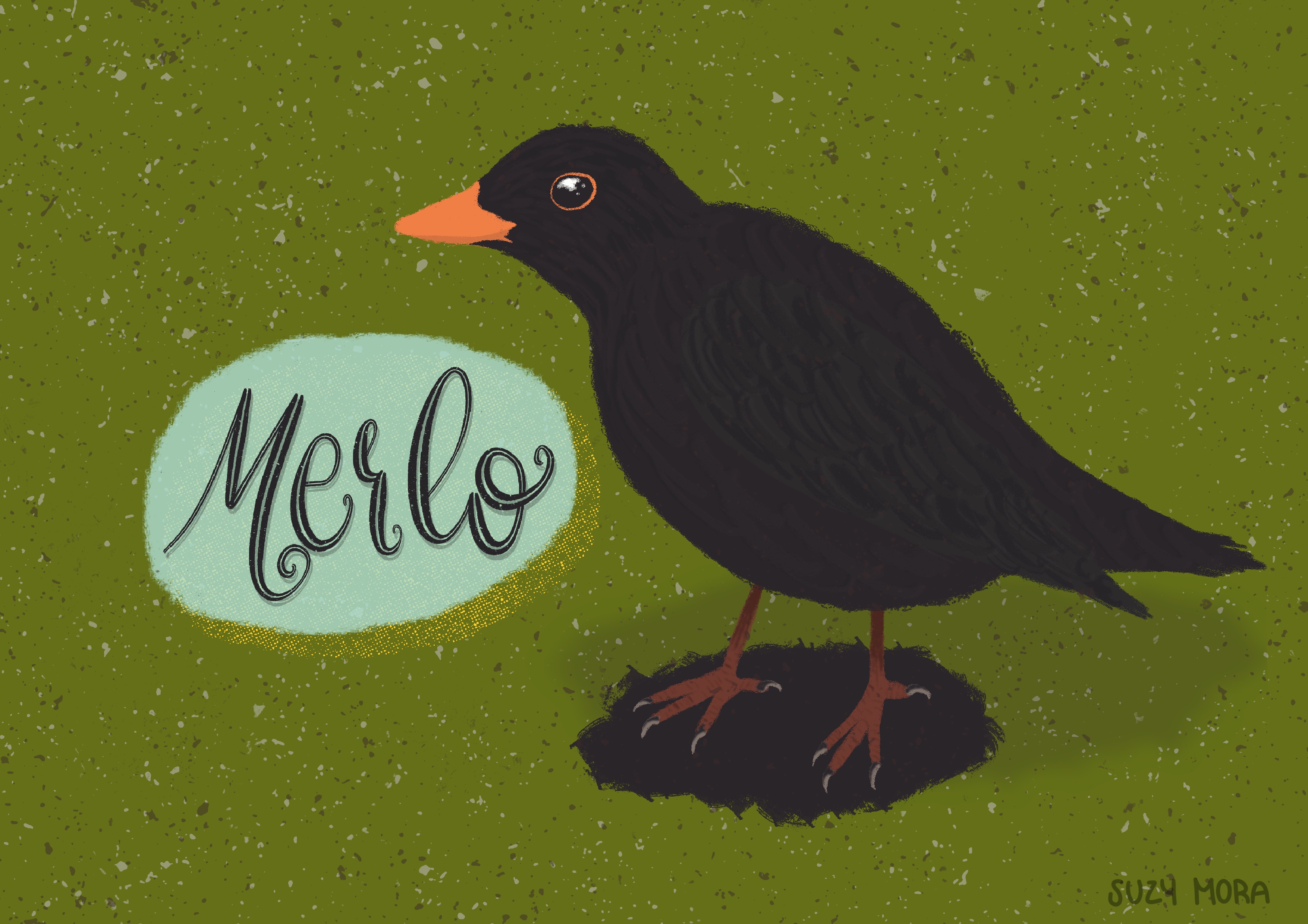 Carlo the Merlo