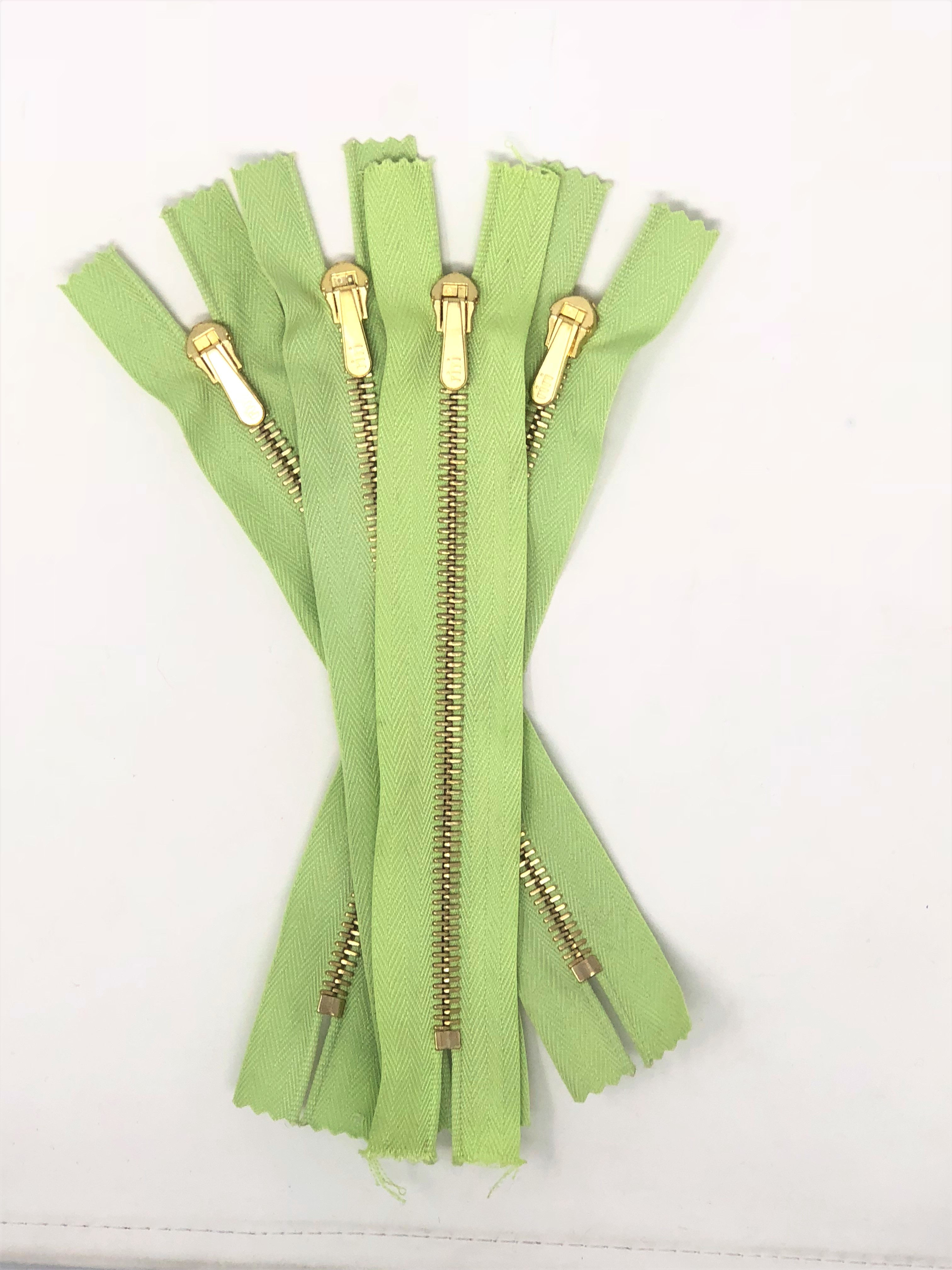 Riri Pocket Zipper 6 Inches 6MM Light Green Tape Brass Teeth Spring Lock Closed