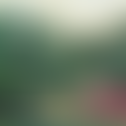 TERAVARNA Explains Why You Should Buy Paintings For Office