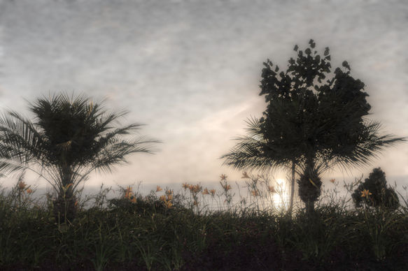 Nostalgia Sunset | Color Photography by Roger Mujica Baldassarry | TERAVARNA