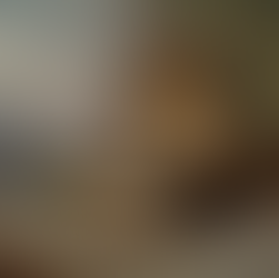 Tips to Sketch Realistic Animal Artworks