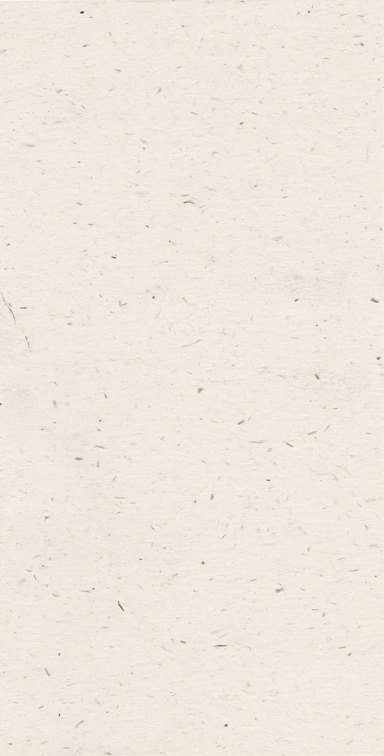 paper-texture02.webp