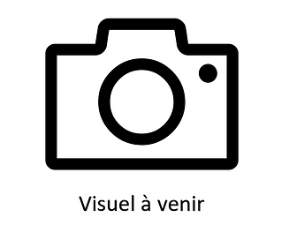 Visuel en cours