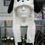 Thumbnail: Rabbit Hat with moving ears and lights