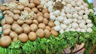 טעימות טעימות פטריות