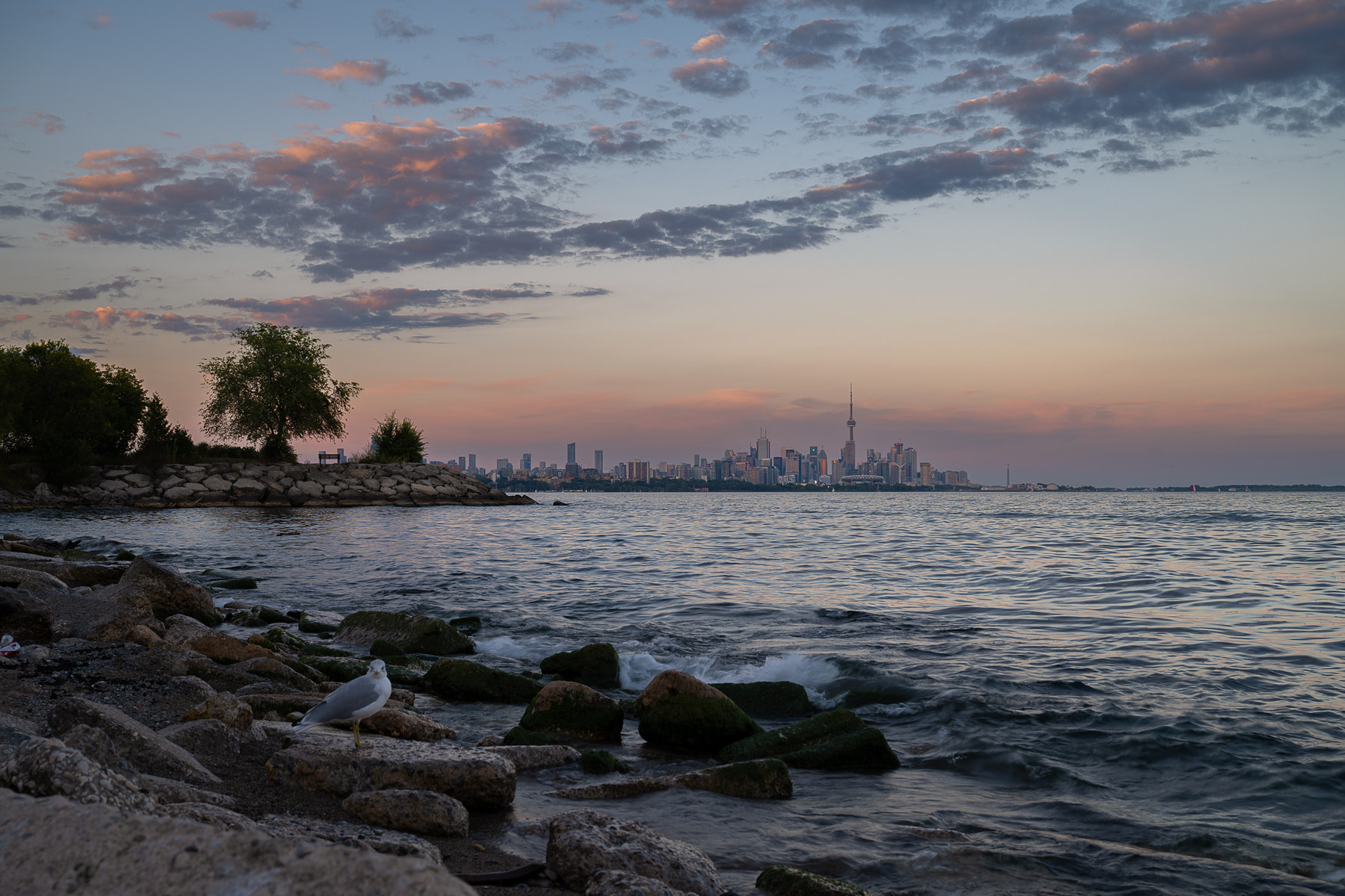 Toronto 20, Canada