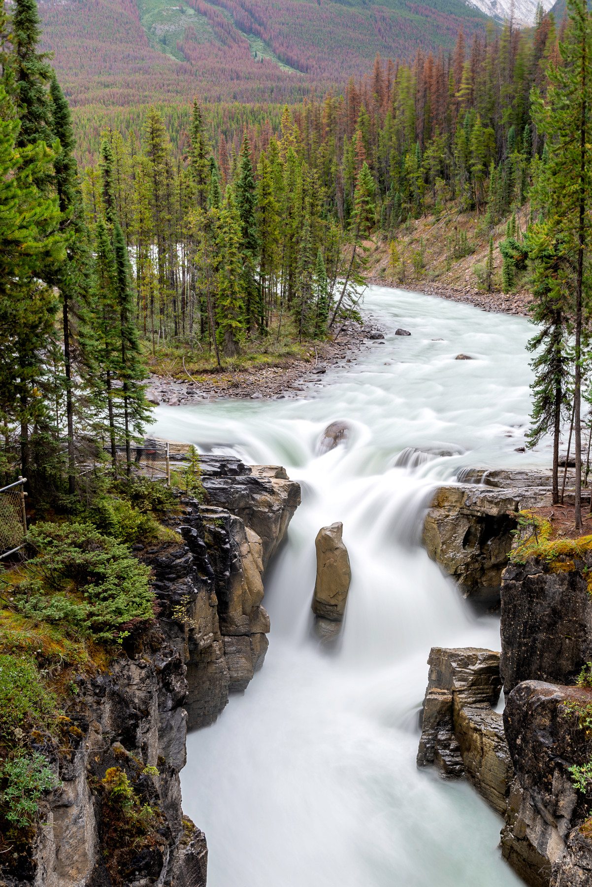Sunwapta Falls, Canada