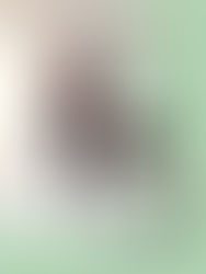 【静岡】2/8(日) ジャー・パンファン バレンタインコンサート