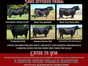 2026 Flatland Acres Online Sale Results