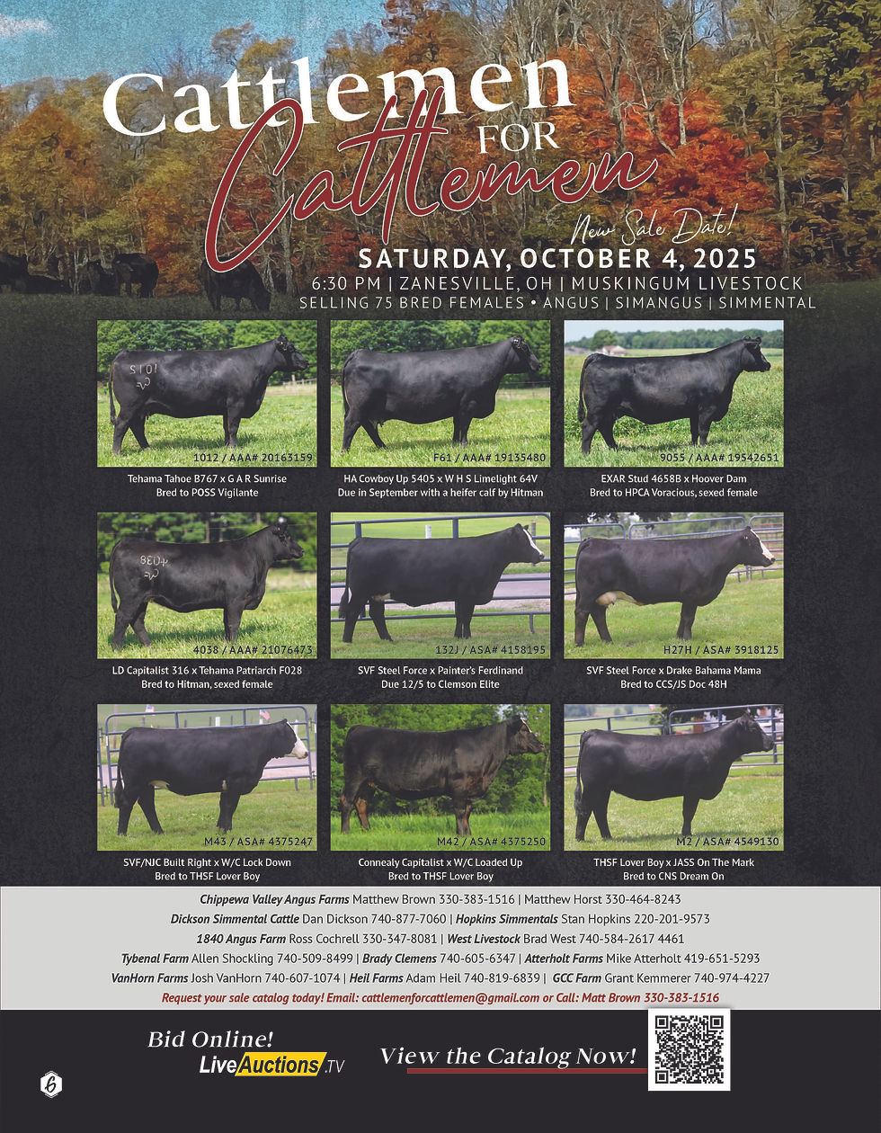 Cattlemen for Cattlemen Female Sale