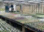 66a3ce8379f4c3003aba5e3e_image00014.jpeg.jpg