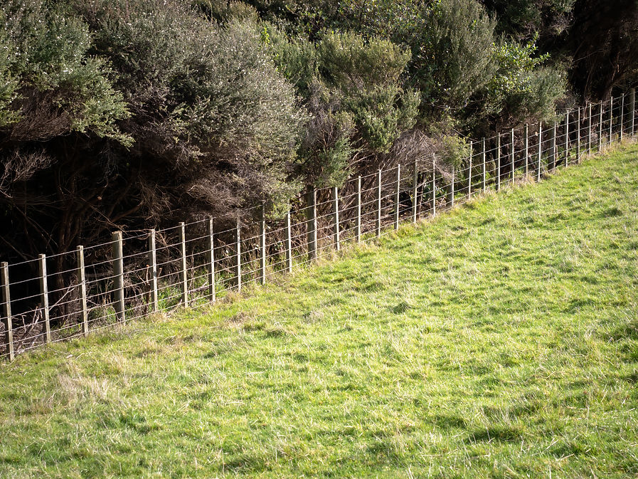 View of wire boundary farm fence with wooden posts on farm.jpg