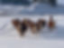 05A765FD-FC90-4E29-9376-F438F417011F Bill.jpeg