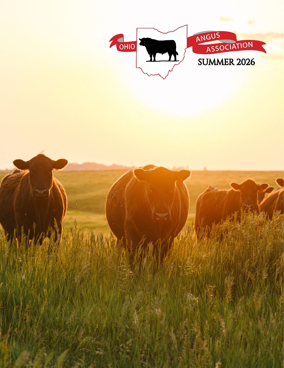 2026 Early Summer Newsletter