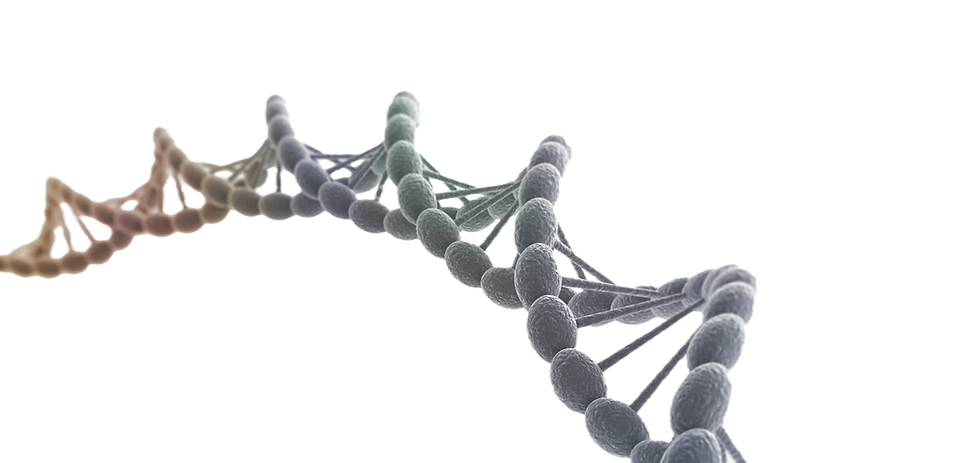 DNA Helix Structure
