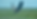 DSC_1359.png