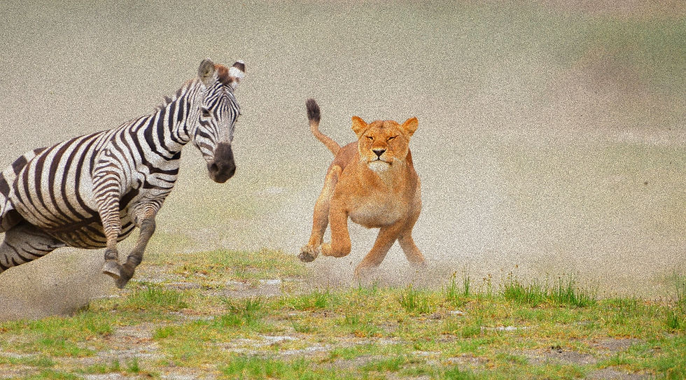 DSC_0294_edited.jpg