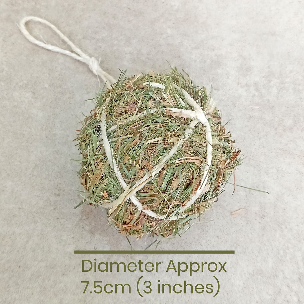 Thumbnail: Meadow Hay Balls Rabbit Pet Chew Treats - Handmade by Nature's Goodies