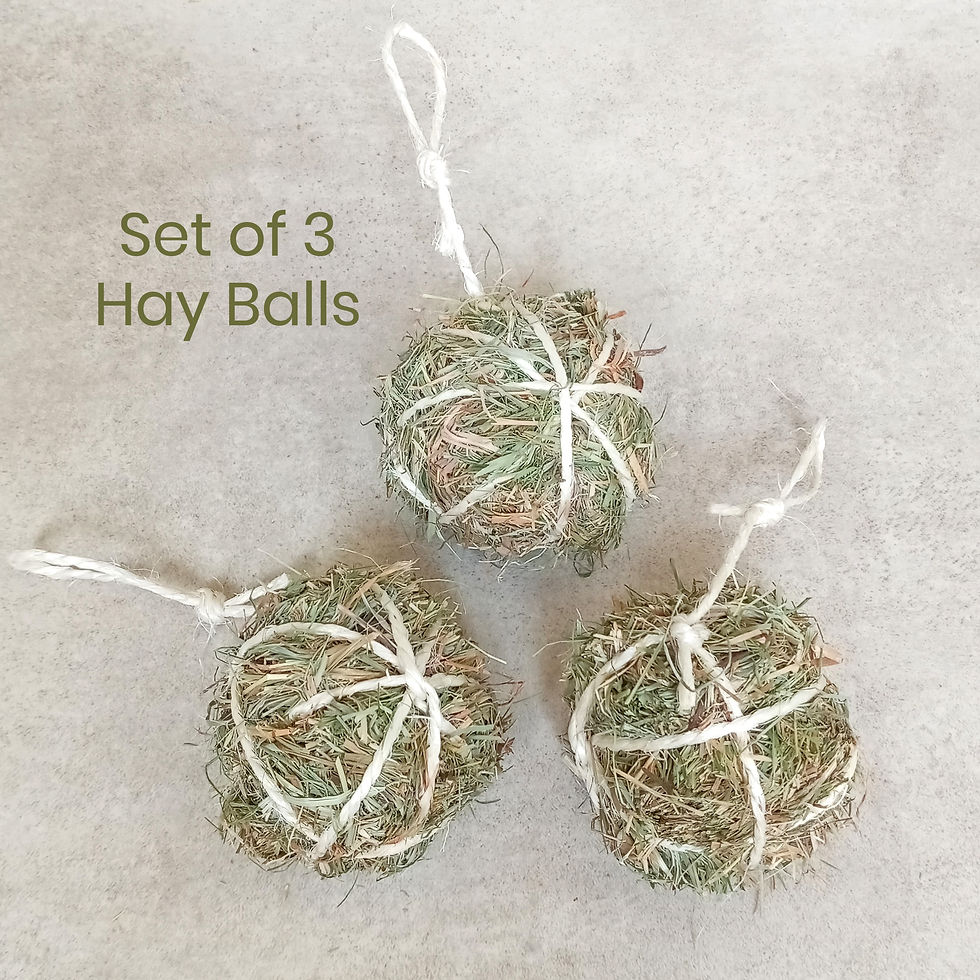 Thumbnail: Meadow Hay Balls Rabbit Pet Chew Treats - Handmade by Nature's Goodies