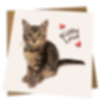 Kitty Love - Charity Greetings Card for Cat Lovers