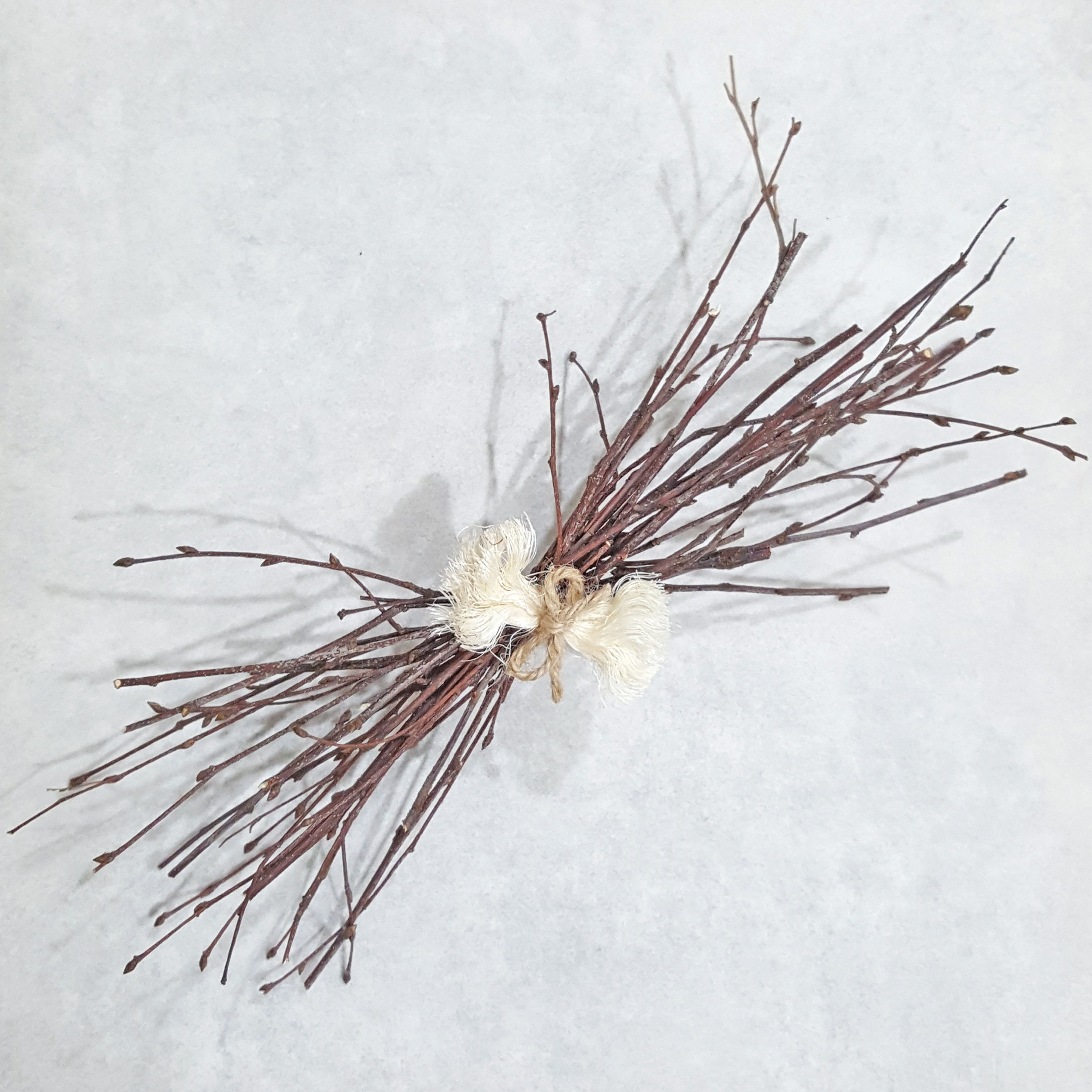 Silver Birch Twig Spray Shredding Throw and Foot Toy for Pet Birds