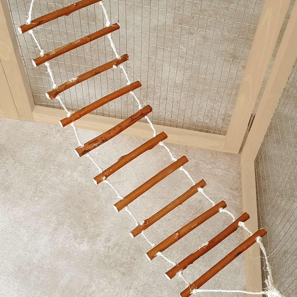 Thumbnail: Wooden Activity Climbing Ladder Swing Handmade by Nature's Goodies