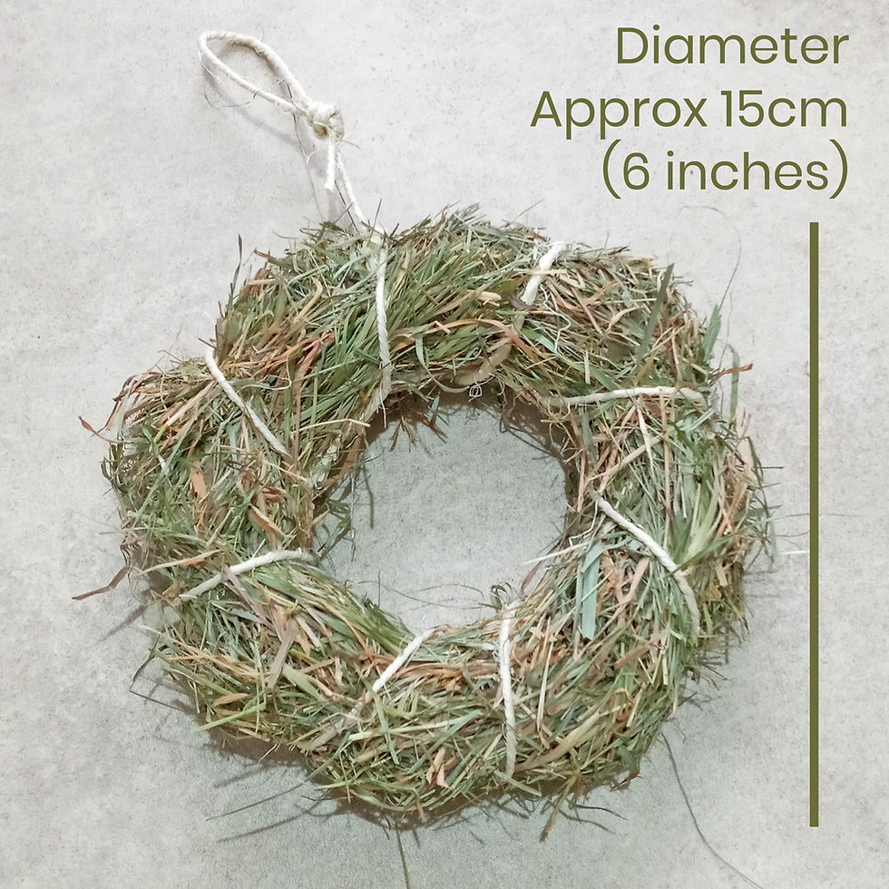 Thumbnail: Set of 10 Meadow Hay Ring Doughnuts