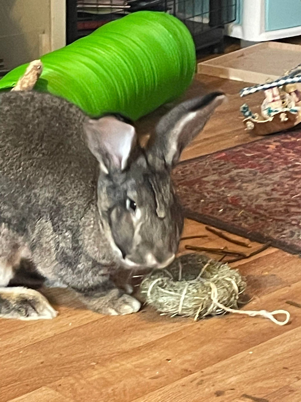 Thumbnail: Set of 3 Meadow Hay Ring Doughnuts