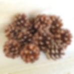 Organic Medium Pine Fir Cones Pet Chew Toy - UK Woodland Sourced by Nature's Goodies