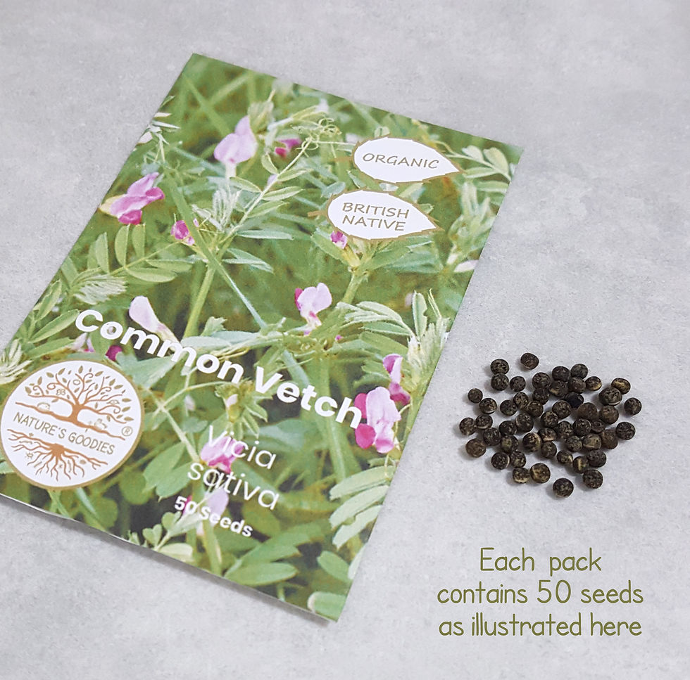 Thumbnail: Grow Your Own Organic Common Vetch Food for Rabbits Guinea Pigs Small Pets & Tortoises