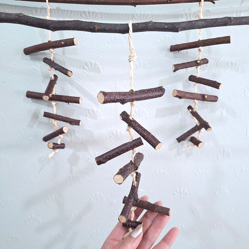Thumbnail: Silver Birch Sticks Hanging Chew  & Pecking Toy - Handmade Pet Toy by Nature's Goodies
