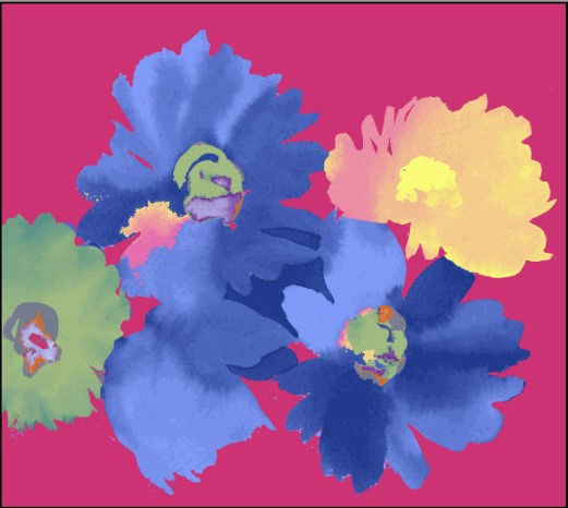 Colorway B
