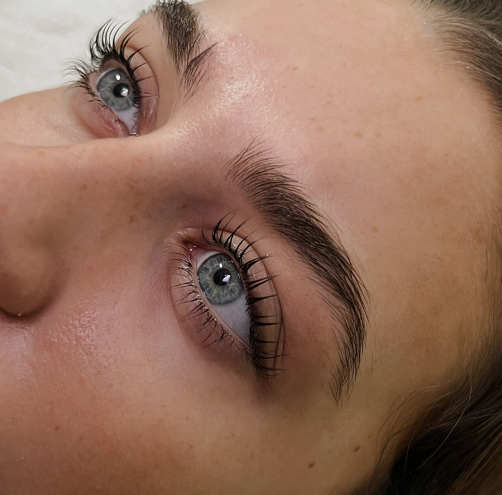lash lift + tint