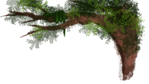 The Understory as a Poem