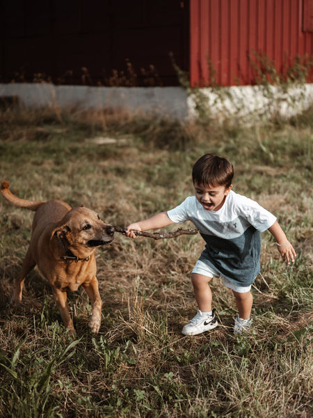 kleiner Junge mit Hund