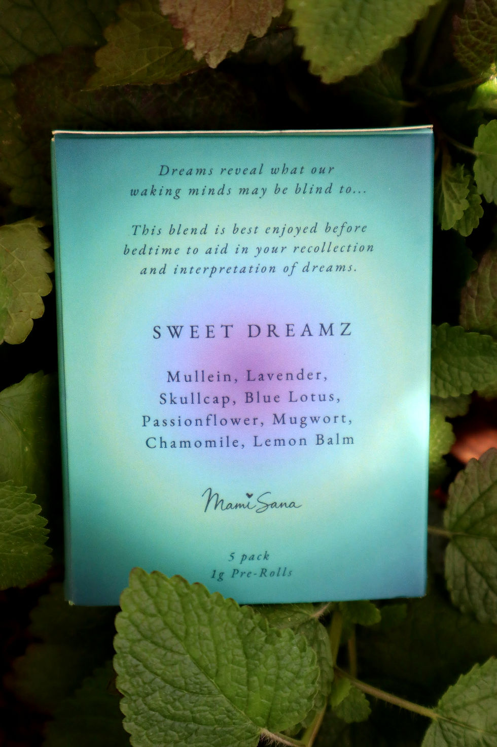 Thumbnail: Sweet Dreamz