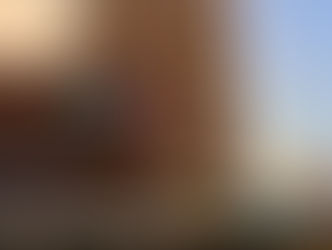 犬散歩：武蔵小杉