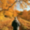 fall.jpg