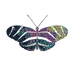 LONGWING 2