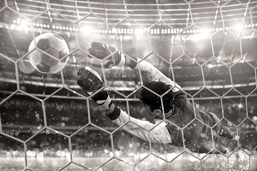 Goal_edited_edited.jpg