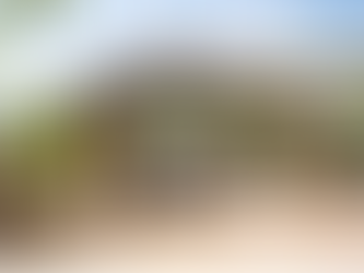 From Empty Garden to Dream Retreat: How a Garden Gazebo Transforms Any Outdoor Space