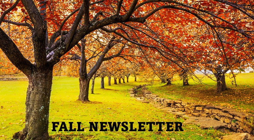 Post Newsletter - Fall 2025