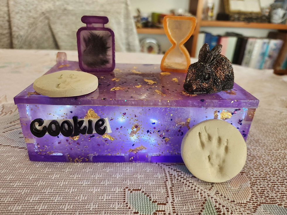 Thumbnail: RC57 Cookie's Memorial & Ashes Storage Box