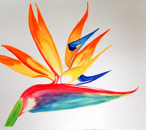 South African Crane Flower