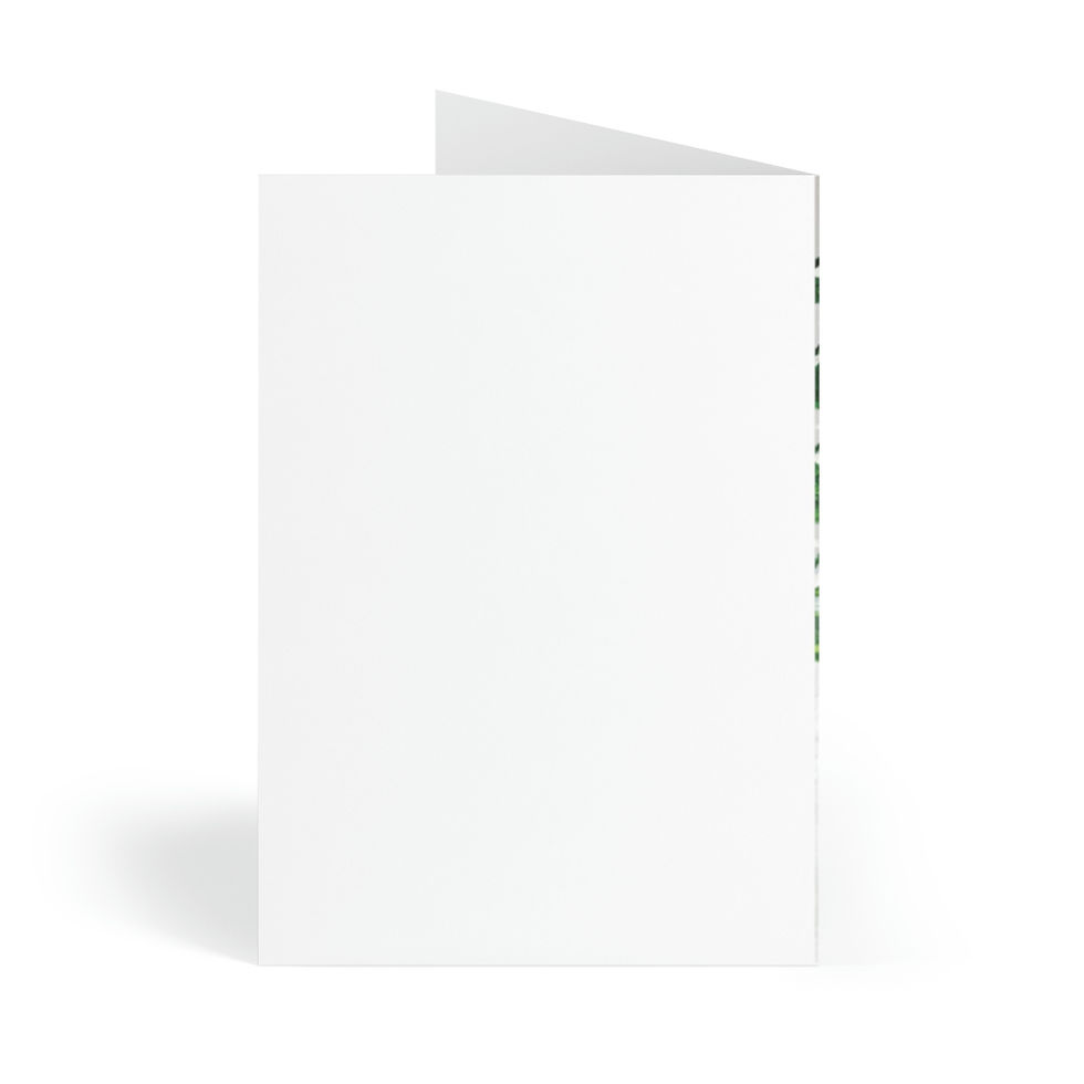 Thumbnail: Greeting Cards (8 pcs) #415